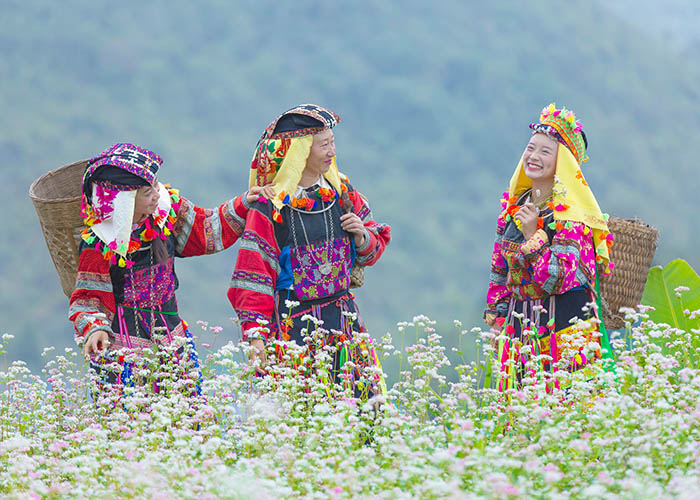 Du lịch Hà Giang