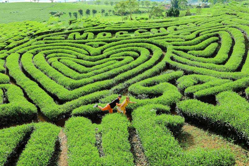 Du lịch Mộc Châu