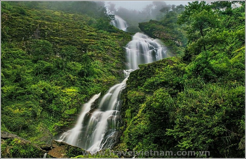 Du Lịch Sapa - Cát Cát - Cầu Kính Rồng Mây - Cây Cô Đơn - Thác Bạc