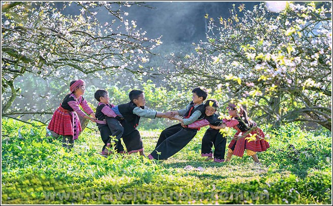 Du Lịch Mộc Châu